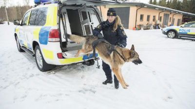 En polisbil står parkerad i snö. En polis tar emot en hund som hoppar ut ur polisbilens baklucka.