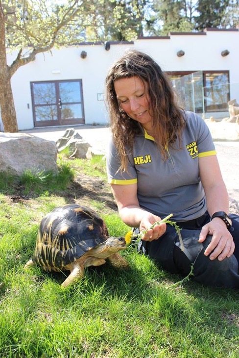 Zoologen Linn Lagerström sitter vid parkens strålsköldpadda.