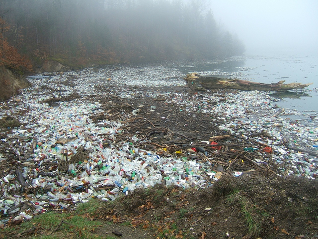 Plastflaskor i vatten