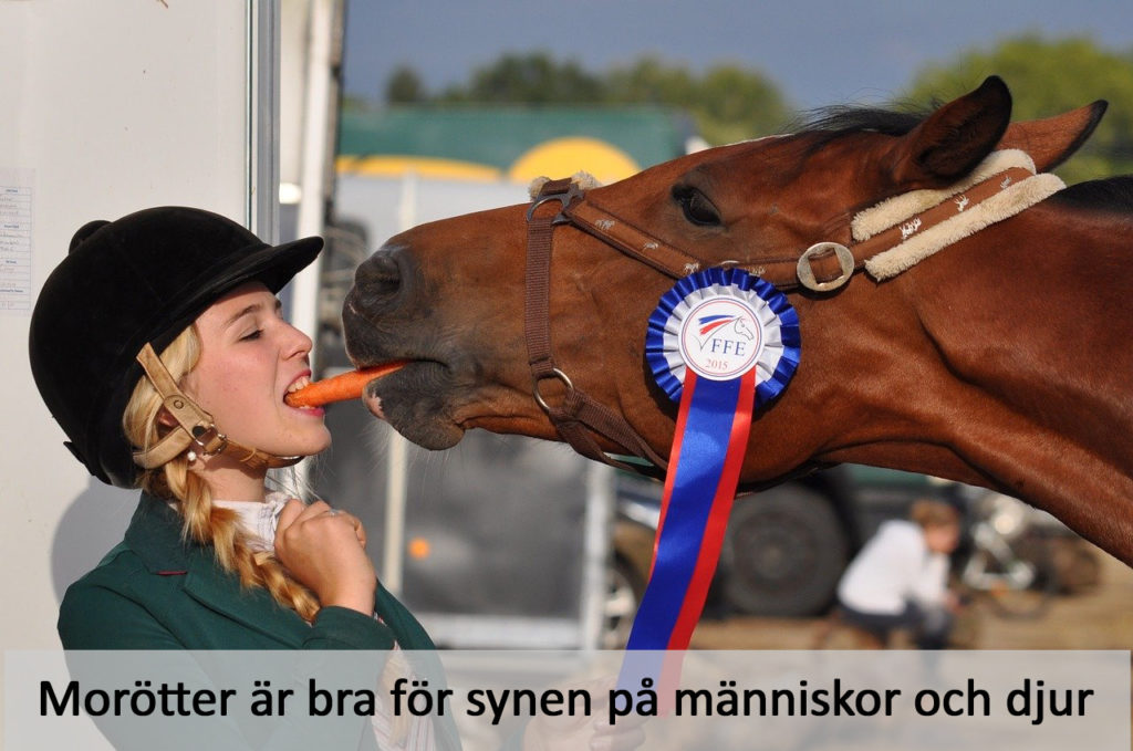 Morötter är bra för synen