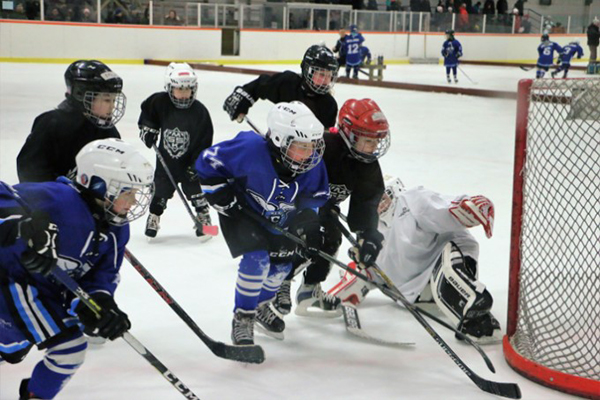 Ishockeyspelare
