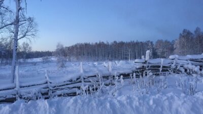 Snö i naturen.