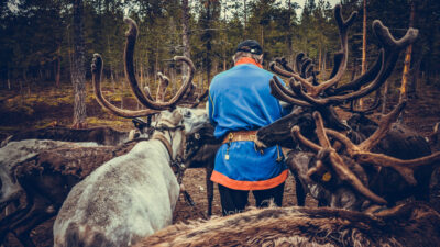 En same tillsammans med renar