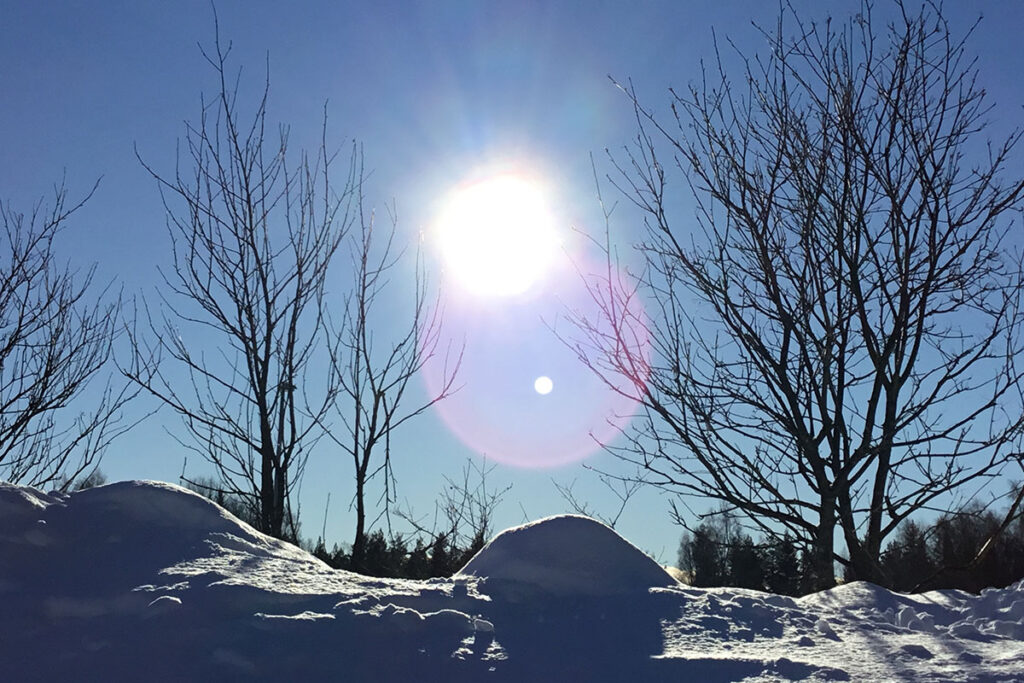 Solen skiner på träd och snö.